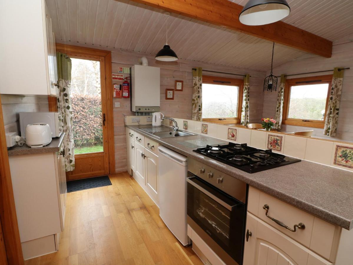Barn Owl Lodge Rhayader Exteriér fotografie